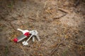 Keys on ground outdoors, space for text. Lost and found Royalty Free Stock Photo