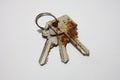 The keys have rusted Royalty Free Stock Photo