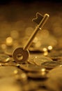 Keys on a heaped of gold coins Royalty Free Stock Photo