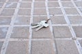 Lost keys of home Royalty Free Stock Photo