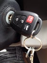 Keys in the Ignition in New Car Remote Entry