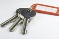 Keys with key fob 02