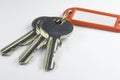 Keys with key fob 02 Royalty Free Stock Photo