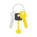 Keys on key ring illustration. Royalty Free Stock Photo