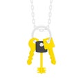 Keys on key ring illustration. Royalty Free Stock Photo