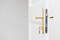 Keys in the keyhole with beautiful golden doorknob
