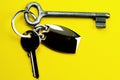 Keys and keyring Royalty Free Stock Photo