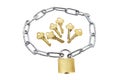 Keys, Lock and Chain Royalty Free Stock Photo