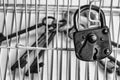 Keys locked in a cage