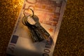 keys and money banknotes on golden background Royalty Free Stock Photo