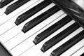 The keys of an old piano closeup. Musical background black and white Royalty Free Stock Photo