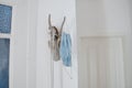 Keys and Protective Mask Hanging on Deer Antler Head Hanger