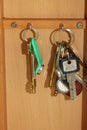 Keys on the ring, two keys and a key ring from the intercom on the ring Royalty Free Stock Photo