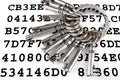 Keys on a sheet with encrypted data Royalty Free Stock Photo