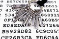 Keys on a sheet with encrypted data Royalty Free Stock Photo
