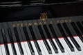 Keys of Steinway Grand Piano