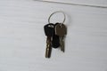 Keys to the apartment or house, intercom key on a light wooden background Royalty Free Stock Photo