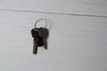 Keys to the apartment or house, intercom key on a light wooden background Royalty Free Stock Photo