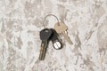 Keys to the apartment or house, intercom key on a light wooden background Royalty Free Stock Photo