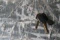 Keys to the apartment or house, intercom key on a light wooden background Royalty Free Stock Photo