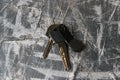 Keys to the apartment or house, intercom key on a light wooden background Royalty Free Stock Photo