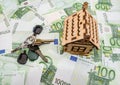 The keys to the apartment and a small wooden house lie on the background with euro banknotes. View from above. The concept of buyi Royalty Free Stock Photo