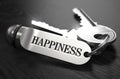 Keys to Happiness. Concept on Golden Keychain Royalty Free Stock Photo