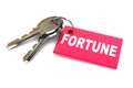 Keys to your Fortune Royalty Free Stock Photo