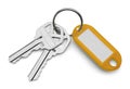 Keys and Yellow Key Chain Royalty Free Stock Photo