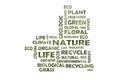 Keyword combination on nature, ecology and recycling - words cut out of an ivy leaf Royalty Free Stock Photo