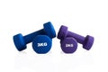 2kg and 3kg dumbbells isolation