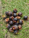 1kg mangosteen on the floor