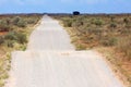 Kgalagadi sand road. Normal Kalahari road acros red dunes Royalty Free Stock Photo