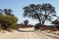 Kgalagadi transfrontier park, South Africa