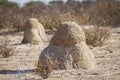 Kgalagadi transfrontier park, South Africa