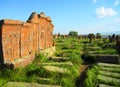 Khachkars in a graveyard in Armenia