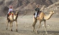 Omani kids riding camels on a dusty countryside road Royalty Free Stock Photo