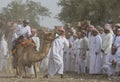 Omani man getting on a camel to start a race