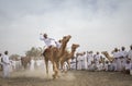 Omani man riding a camel on a dusty countryside road Royalty Free Stock Photo