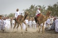 omani men getting ready to race their camels on a dusty countryside road