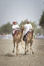 Omani men riding camels on a dusty countryside road Royalty Free Stock Photo