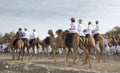 Omani men with their camels in a countryside