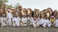 Omani men with their camels Royalty Free Stock Photo