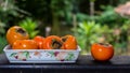 Khaki in ceramic bowl against tropical background Royalty Free Stock Photo