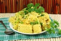 Khaman dhokla indian gujrati snack fast food dish