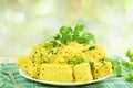 Khaman dhokla traditional gujrati indian snack food dish in de focused circle background