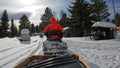 A group of tourists rides in a sleigh attached to snowmobiles. base of geologists. Beautiful winter forest