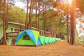 Khao Kho Phetchabun in thailand,morning in forest pine wiht travel adventure and camping