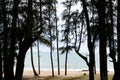 Khao lak beach at Phang Nga Province, Thailand