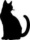 Khao Manee Cat Black Silhouette Generative Ai Royalty Free Stock Photo